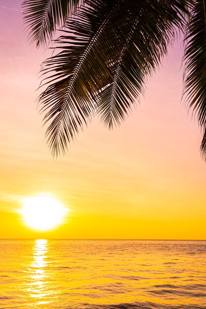 Bellissimo paesaggio dell'oceano mare con la palma da cocco sagoma al tramonto o all'alba
