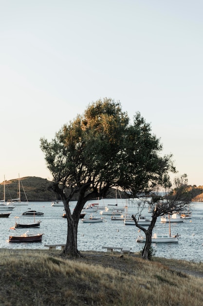 Bellissimo paesaggio della città di mare