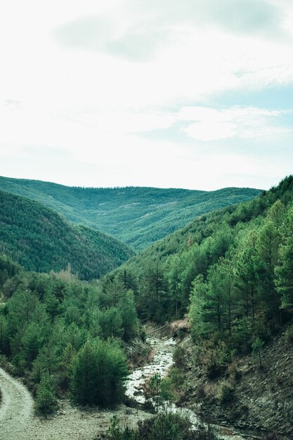 Bellissimo paesaggio della valle con un fiume