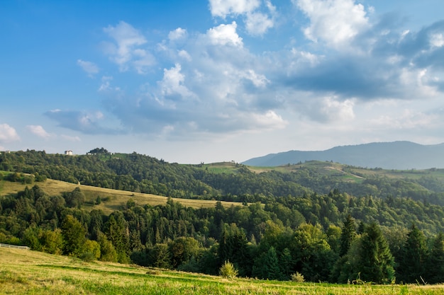 Bellissimo paesaggio delle montagne dei Carpazi estivi