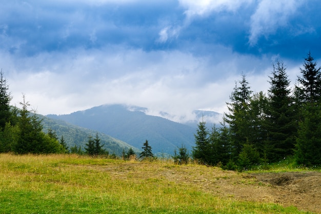 Bellissimo paesaggio delle montagne dei Carpazi ucraini.