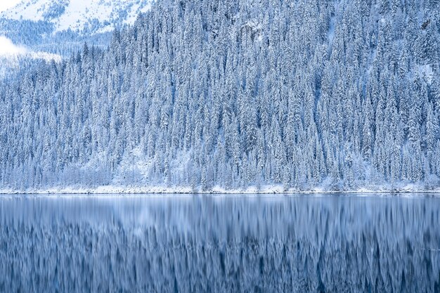 Bellissimo paesaggio di alberi bianchi innevati vicino a un lago azzurro chiaro