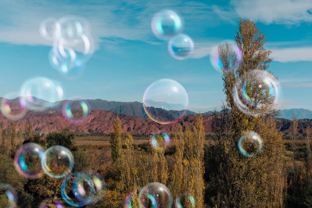 Bellissimo paesaggio di alberi e bolle di sapone