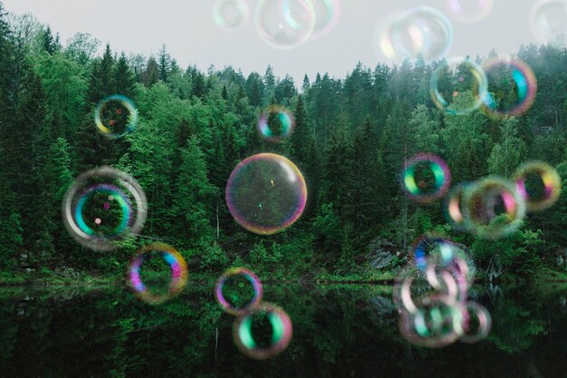 Bellissimo paesaggio di alberi e bolle di sapone