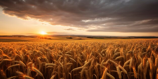 Bellissimo paesaggio di campagna