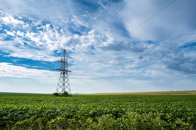 Bellissimo paesaggio di campo verde e cielo nuvoloso