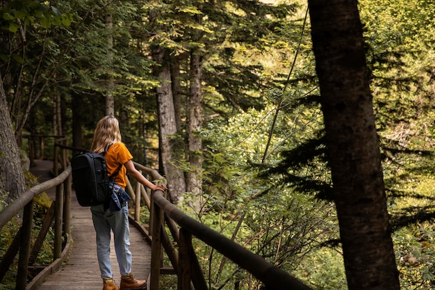 Bellissimo paesaggio di foresta di montagna