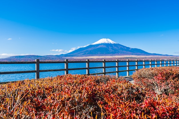 Bellissimo paesaggio di montagna fuji intorno al lago yamanakako