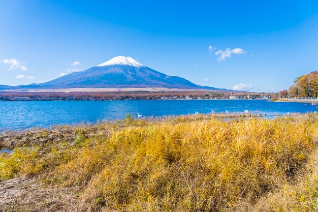 Bellissimo paesaggio di montagna fuji intorno al lago yamanakako