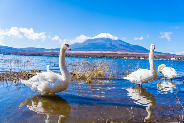 Bellissimo paesaggio di montagna fuji intorno al lago yamanakako