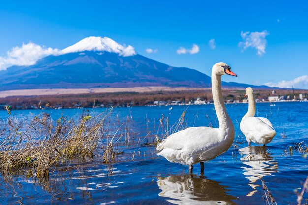 Bellissimo paesaggio di montagna fuji intorno al lago yamanakako