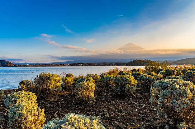 Bellissimo paesaggio di montagna fuji