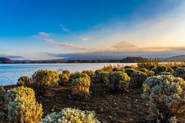 Bellissimo paesaggio di montagna fuji