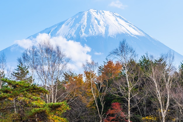 Bellissimo paesaggio di montagna fuji