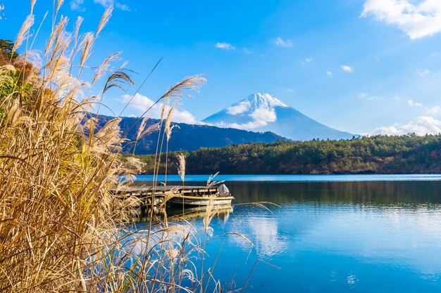 Bellissimo paesaggio di montagna fuji