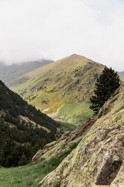 Bellissimo paesaggio di montagna in una giornata di sole