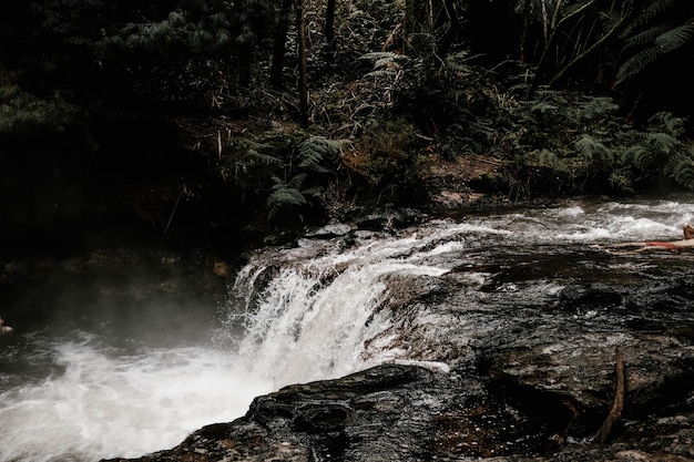 Bellissimo paesaggio di una cascata in una foresta circondata da nebbia e alberi in una giornata piovosa