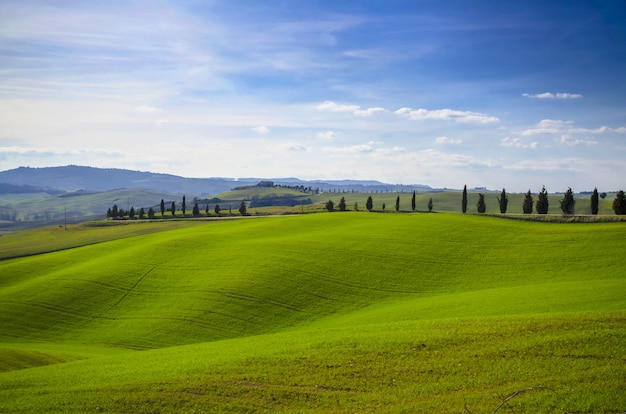 Bellissimo paesaggio di verdi colline ondulate accanto a una strada con alberi sotto un cielo blu chiaro