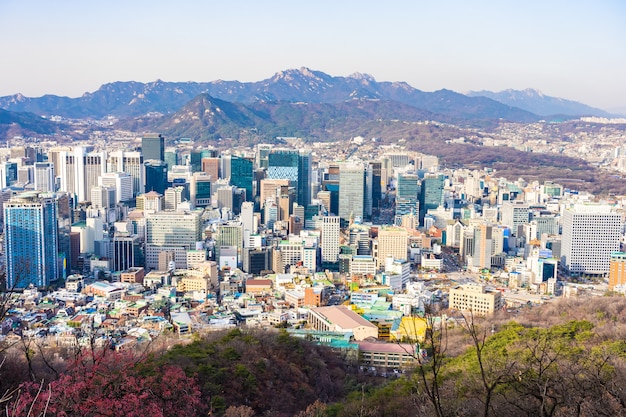 Bellissimo paesaggio e paesaggio urbano della città di Seoul