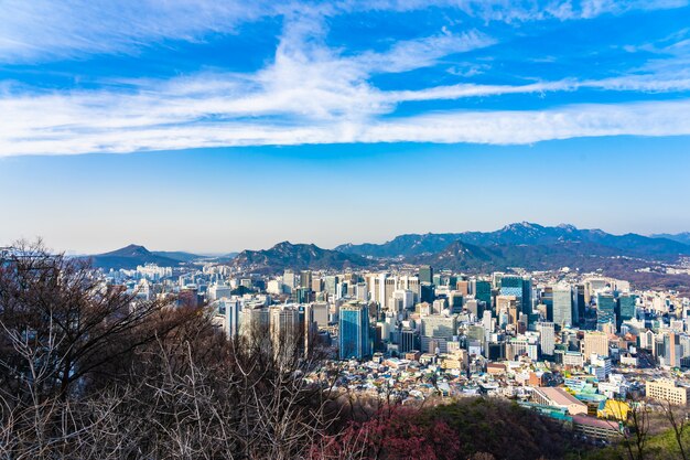 Bellissimo paesaggio e paesaggio urbano della città di Seoul