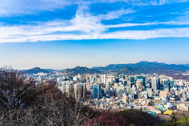 Bellissimo paesaggio e paesaggio urbano della città di Seoul