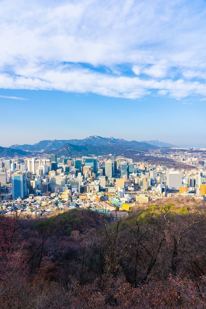 Bellissimo paesaggio e paesaggio urbano della città di Seoul