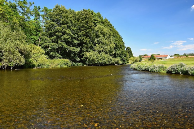 Bellissimo paesaggio estivo con fiume, foresta, sole e cielo azzurro. Sfondo naturale.