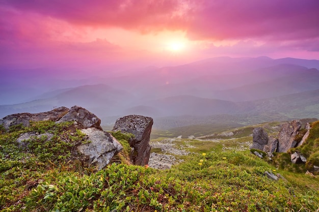 Bellissimo paesaggio estivo in montagna