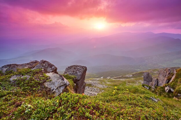 Bellissimo paesaggio estivo in montagna