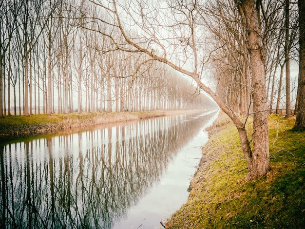 Bellissimo paesaggio fluviale a Damme, Belgio