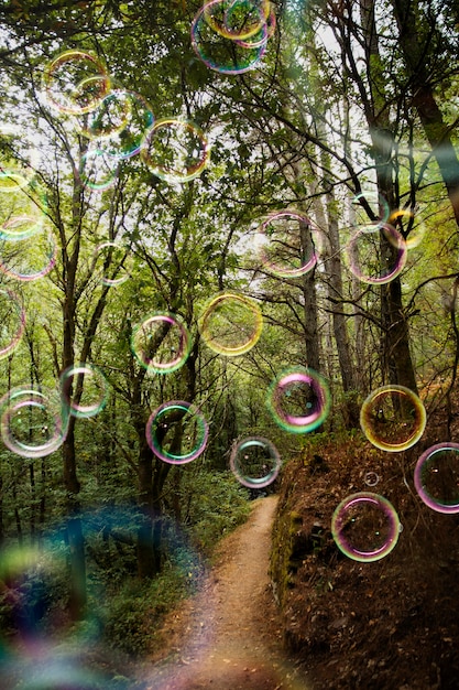 Bellissimo paesaggio forestale e bolle di sapone