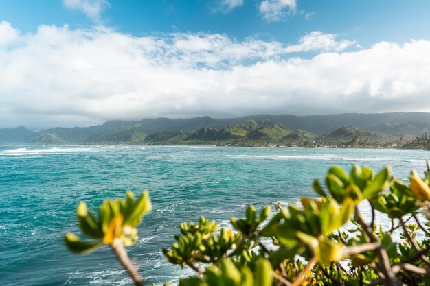 Bellissimo paesaggio hawaiiano con il mare blu