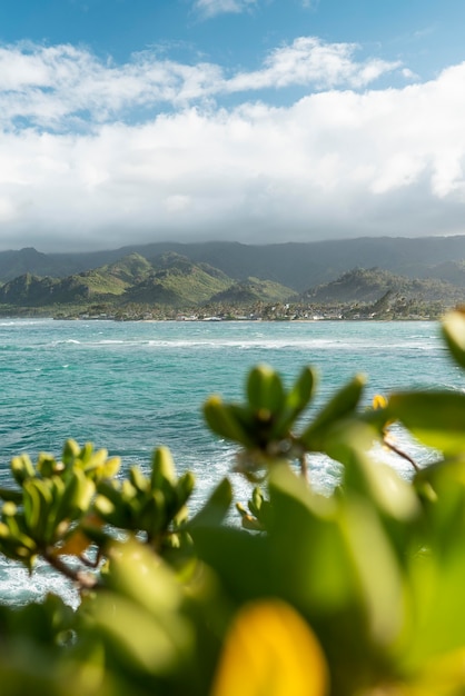 Bellissimo paesaggio hawaiiano con il mare blu