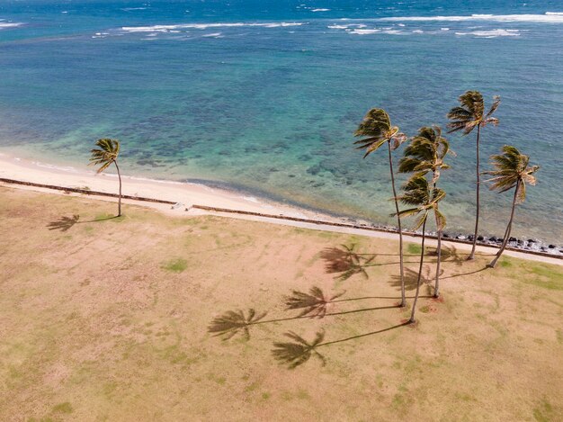 Bellissimo paesaggio hawaiiano con oceano