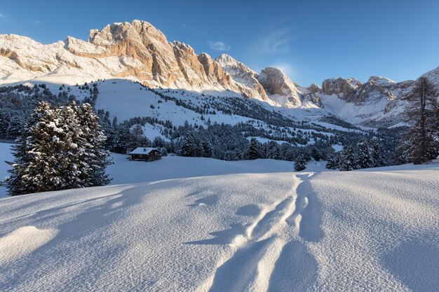 Bellissimo paesaggio innevato con le montagne sullo sfondo