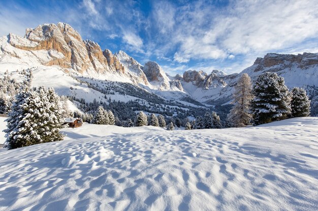 Bellissimo paesaggio innevato con le montagne