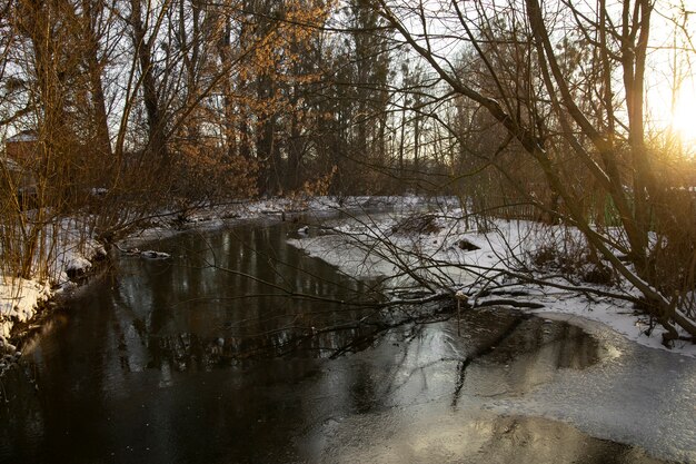 Bellissimo paesaggio naturale con fiume