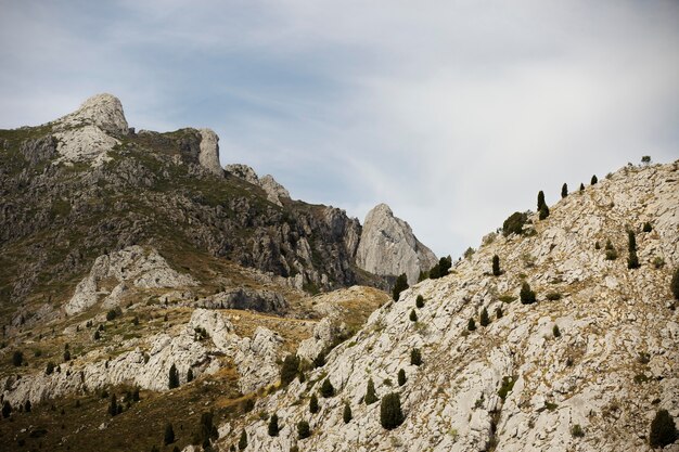 Bellissimo paesaggio naturale di montagna