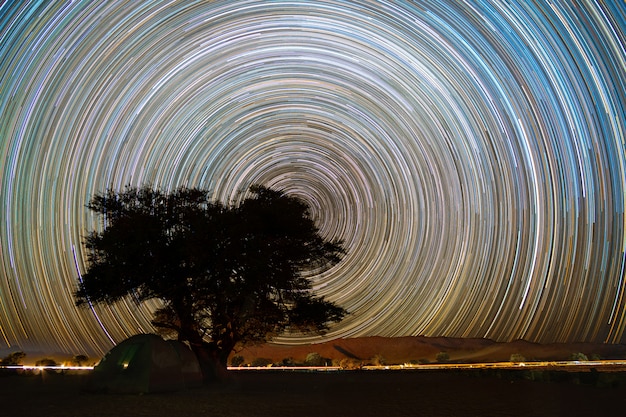 Bellissimo paesaggio notturno Tracce stellari nella foresta di alberi faretra in Keetmanshoop, Namibia