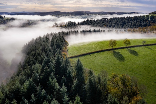 Bellissimo paesaggio verde con piantagioni e alberi sotto un cielo nuvoloso