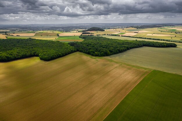 Bellissimo paesaggio verde con piantagioni e alberi sotto un cielo nuvoloso