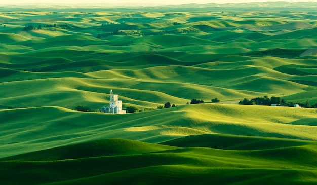 Bellissimo paesaggio verde