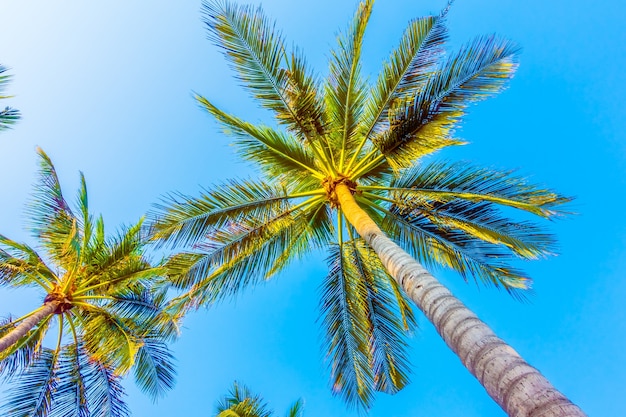 bellissimo paradiso sole sfondo spiaggia