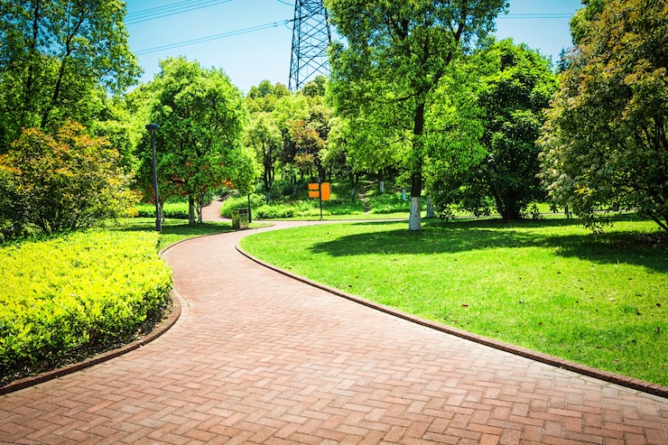 Foto gratuito bellissimo parco cittadino