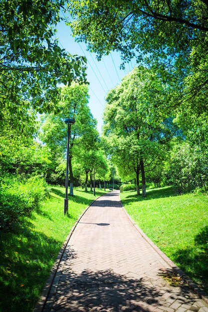 Bellissimo parco cittadino