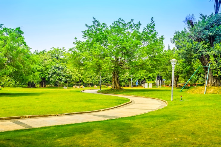 Foto gratuito bellissimo parco