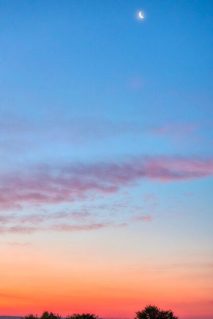 Bellissimo scatto del fantastico tramonto con il cielo rosso su una foresta nebbiosa in campagna