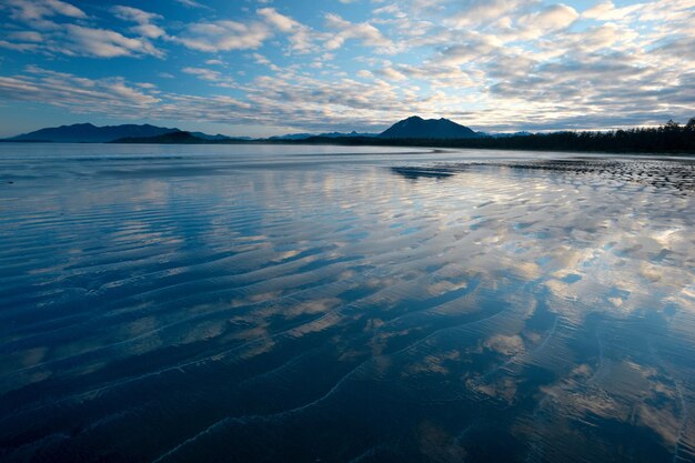 Bellissimo scatto dell'isola di Vargas, vicino a Tofino, isola di Vancouver, BC, Canada