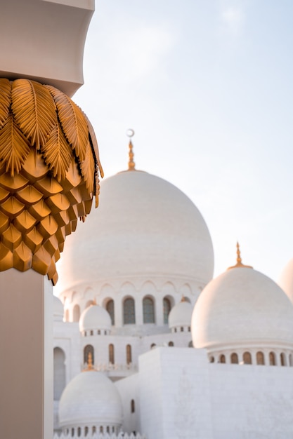 Bellissimo scatto della Grande Moschea dello Sceicco Zayed ad Abu Dhabi durante il giorno