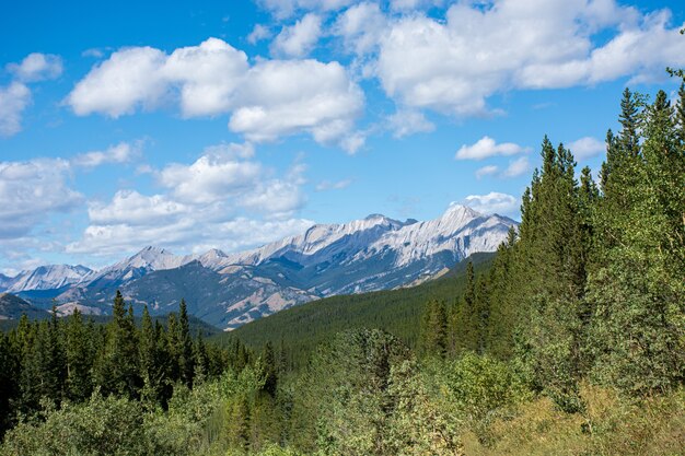 Bellissimo scatto delle Montagne Rocciose e delle foreste verdi durante il giorno